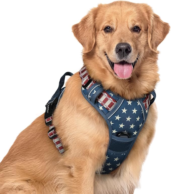 rabbitgoo Dog Harness, No Pull for Large Dogs with 2 Leash Clips, Pet Vest | No Choke with Handle, Adjustable Soft Padded, Reflective, Easy Control for Walking, Blue Star, X-Large