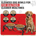 Loving Pets Elevated Dog Bowls – Raised Stainless Steel Dog Bowls with Steel Stand – Non-Skid, No Spill Feeder for Small, Medium & Large Dogs – Easy to Clean, Durable Raised Dog Feeding Station