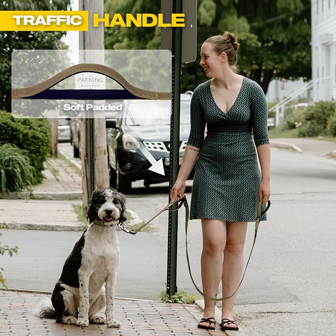 Fida 4 FT Heavy Duty Dog Leash with 2 Comfortable Padded Handles, Traffic Handle & Advanced Easy Snap Hook, Reflective Walking Lead for Large, Medium & Small Breed Dogs, Brown