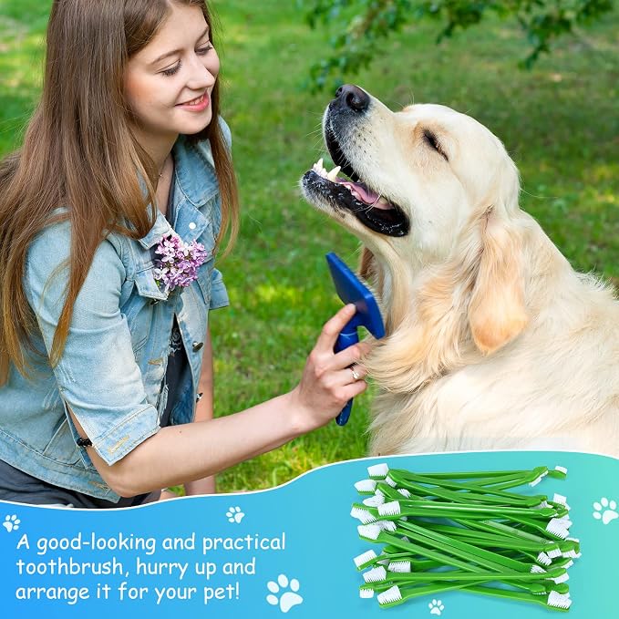 Honeydak 70 Pcs Dog Toothbrush Bulk Pets Dual Headed Dental Brushes | Green Long Handle Pet Tooth Brush for Puppy Large Small Cats and Most Pets Teeth Cleaning Dental Supplies