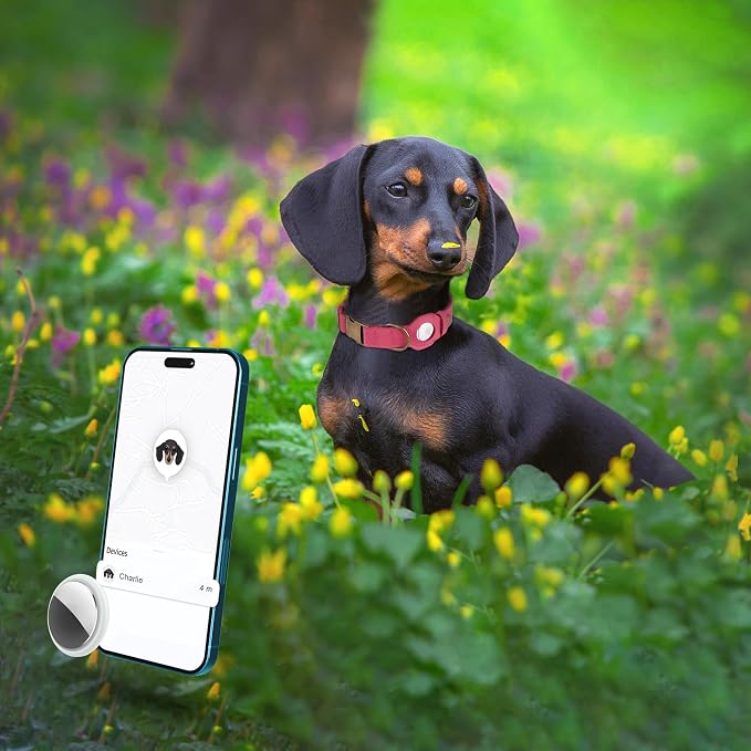 AirTag Dog Collar - Genuine Leather Dog Collar with Apple AirTag Holder and Metal Buckle - Smart GPS Tracking Pet Collars (Pink, XL, 20"-25" Neck Fit)