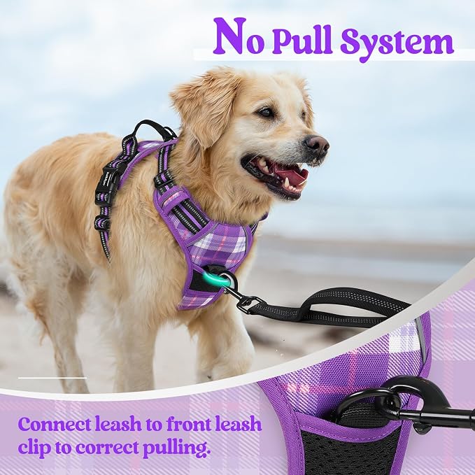 rabbitgoo Dog Harness, No Pull for Small Dogs with 2 Leash Clips, Pet Vest | No Choke with Handle, Adjustable Soft Padded, Reflective, Easy Control for Walking, Purple Plaid, Small