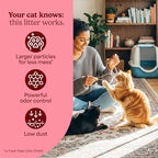 Fresh Step Advanced Clean Paws Multi Cat Clumping Litter with Febreze Freshness, Low Tracking, 18.5 lb. Box, Pack of 2 | Low Tracking Granules for Less Mess, Scented with Febreze Freshness, Low Dust, Compatible with Most Auto Litter Boxes