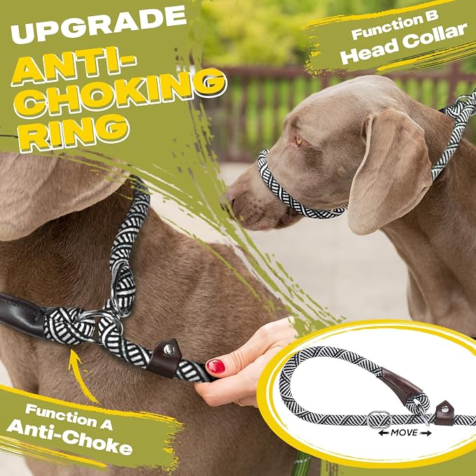 Fida Durable Slip Lead Dog Leash Bulk Pack of 5, Heavy Duty 1/2" x 6 FT Comfortable Strong Rope Slip Lead for Large, Medium & Small Dogs No Pulling Pet Training Leash with Highly Reflective (Grey)