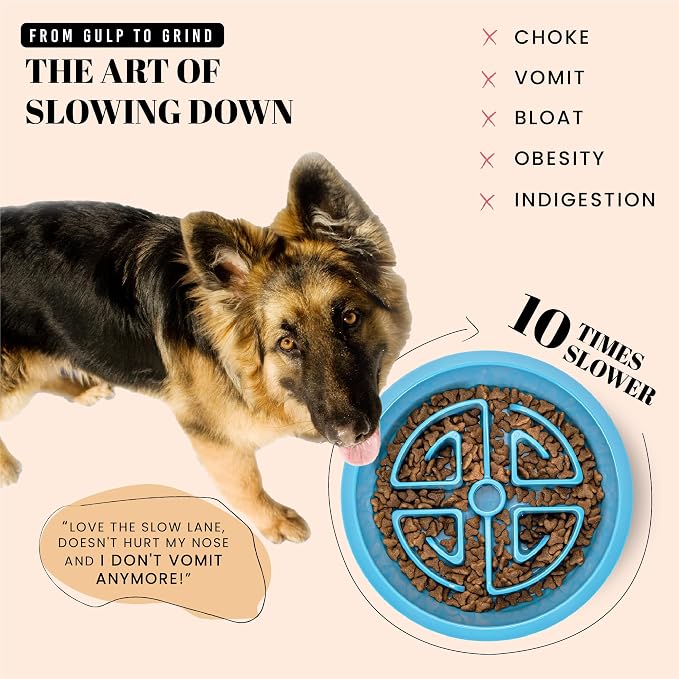 AVERYDAY Slow Feeder Dog Bowls for Large Breeds Fits Raised Feeding Station, Puzzle Dog Food Bowls to Slow Down Eating, Dogs Feeding Bowl with Non-Slip, Slows Feeder Pet Bowl for Wet and Dry Food