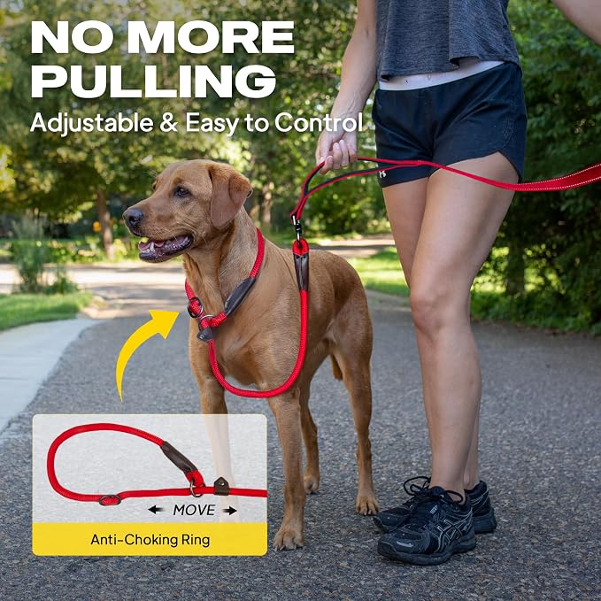 Fida 2-in-1 Slip Lead Dog Leash with 2 Handles, 6FT Training Leash, Red | No Collar Needed, Tangle Free, Soft Padded Handles, Traffic Control,Reflective Heavy Duty No Pull Leash for Medium-Large Dogs