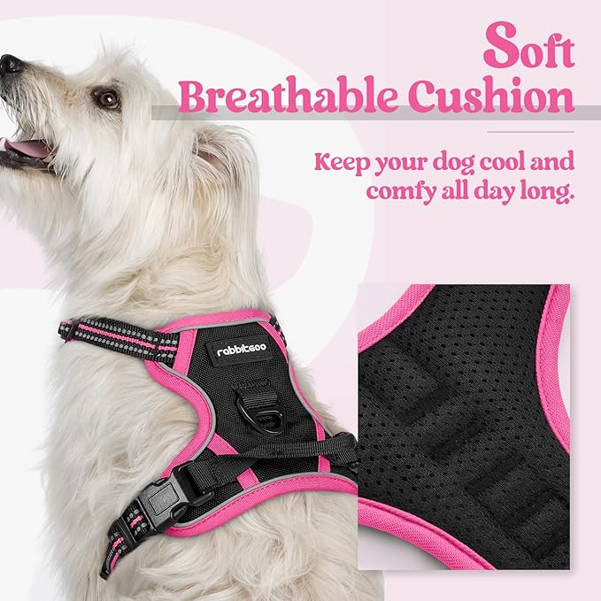 rabbitgoo Dog Harness, No Pull for Small Dogs with 2 Leash Clips, Pet Vest | No Choke with Handle, Adjustable Soft Padded, Reflective, Easy Control for Walking, Black & Hot Pink, X-Small