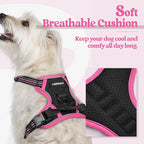 rabbitgoo Dog Harness, No Pull for Small Dogs with 2 Leash Clips, Pet Vest | No Choke with Handle, Adjustable Soft Padded, Reflective, Easy Control for Walking, Black & Hot Pink, X-Small