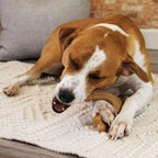 Nylabone Strong Chew Gourmet Style Wishbone Dog Chew Toy, Bacon Flavor | Large breeds, durable chew toys, long lasting, easy-hold shape, helps clean teeth, for dogs up to 50 lbs