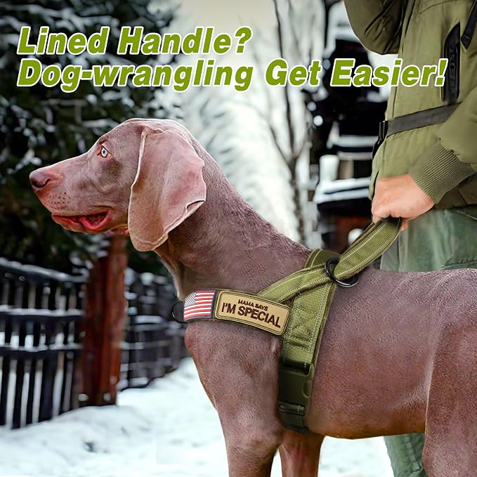 Forestpaw No Pull Dog Harness with Large Handle,Comfortable,L,Green | Adjustable Fits Chest 26-31",50-80 lbs,Slip On,Quick Release,Easy Control,Soft Padded,for Medium Large Dogs Walking Training