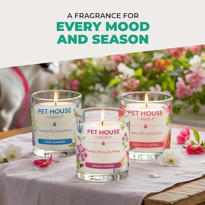 Pet House Candles, Clean Burning Scented Pet Odor Candles, Natural Soy-Based, 60 Hour Burn Time - Snow Cone, 9 oz, 2 Pack