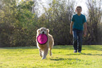 Hyper Pet Flippy Flopper Flying Disc Soft Dog Toy 9 Inch, Floats, 5 Pack | Safe on teeth for all breeds, stays on the water surface for pool and lake fetch games, colors may vary with every order