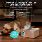 8L/270oz Stainless Steel Large Dog Water Fountain Dispenser Bowl | Premium stainless steel filtered dog water bowl and quiet large dog fountain. Visible water level window, great for cats.