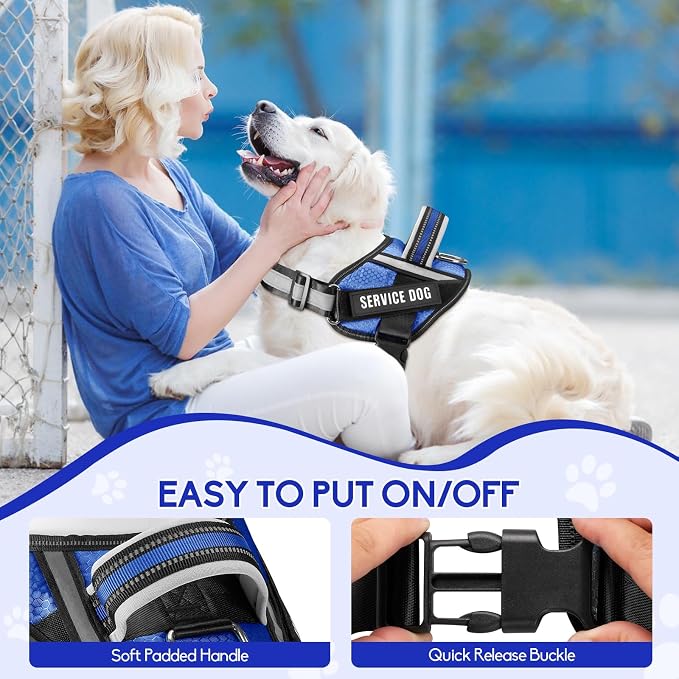Service Dog Vest Harness and Leash Set, Animire in Training Dog Harness with 10 Dog Patches, Reflective Dog Leash with Handle for Small, Medium, Large, and Extra-Large Dogs (Blue,XL)