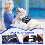 Service Dog Vest Harness and Leash Set, Animire in Training Dog Harness with 10 Dog Patches, Reflective Dog Leash with Soft Padded Handle for Small, Medium, Large, and Extra-Large Dogs (Blue,L)