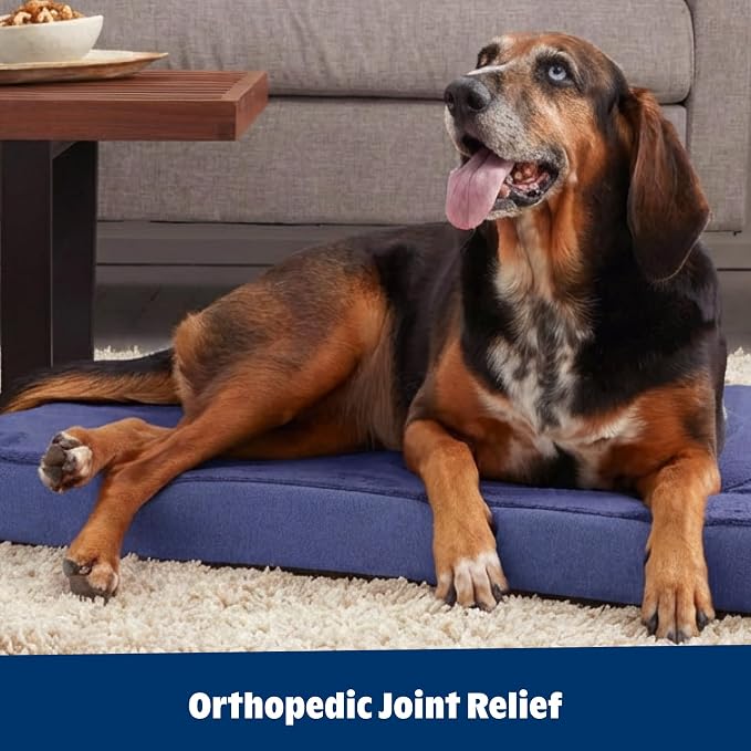 BarkBox Orthopedic Dog Bed - Small | with Memory Foam - Comfortable, Durable & Machine Washable Pet Bed - Navy