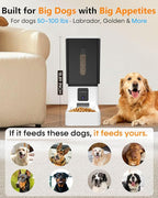 UTCG Large Breed Automatic Dog Feeder with 1080P HD Camera, 12L/50 Cups | 20-Day Food Capacity, Anti-Clog 0.78inch Wide Outlet for Large Kibble, for Busy Pet Owners