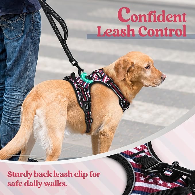 rabbitgoo Dog Harness, No Pull for Large Dogs with 2 Leash Clips, Pet Vest | No Choke with Handle, Adjustable Soft Padded, Reflective, Easy Control for Walking, Red Stripe, Large