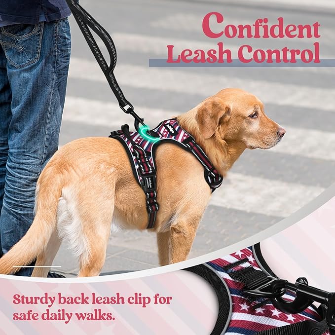 rabbitgoo Dog Harness, No Pull Medium Sized with 2 Leash Clips, Pet Vest | No Choke with Handle, Adjustable Soft Padded, Reflective, Easy Control for Walking, Red Stripe, Medium