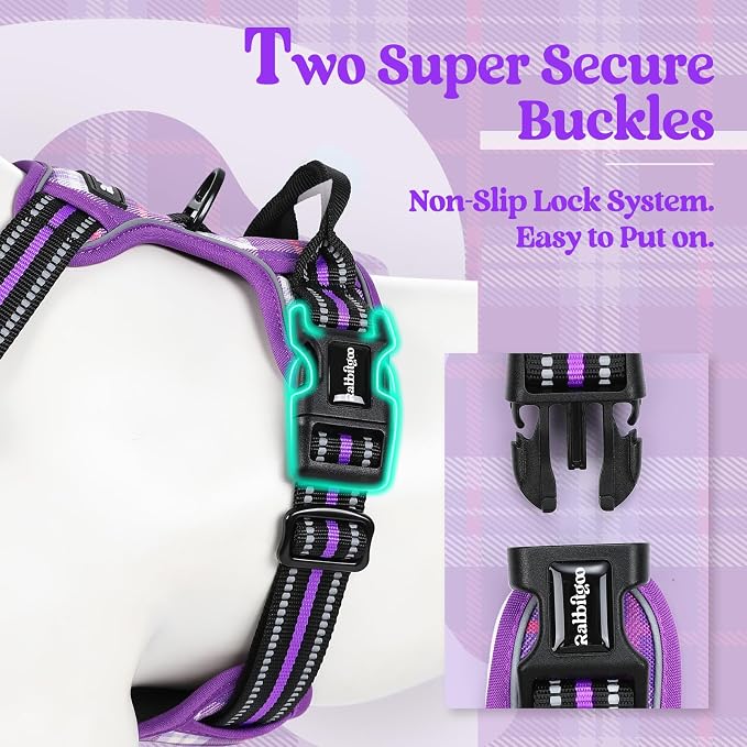 rabbitgoo Dog Harness, No Pull for Small Dogs with 2 Leash Clips, Pet Vest | No Choke with Handle, Adjustable Soft Padded, Reflective, Easy Control for Walking, Purple Plaid, Small