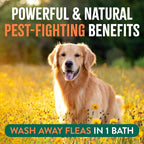 Parent NFT Shampoos only | Powerful & Natural Defense | Flea & Tick Prevention | For Large & Small Dogs | Made in USA