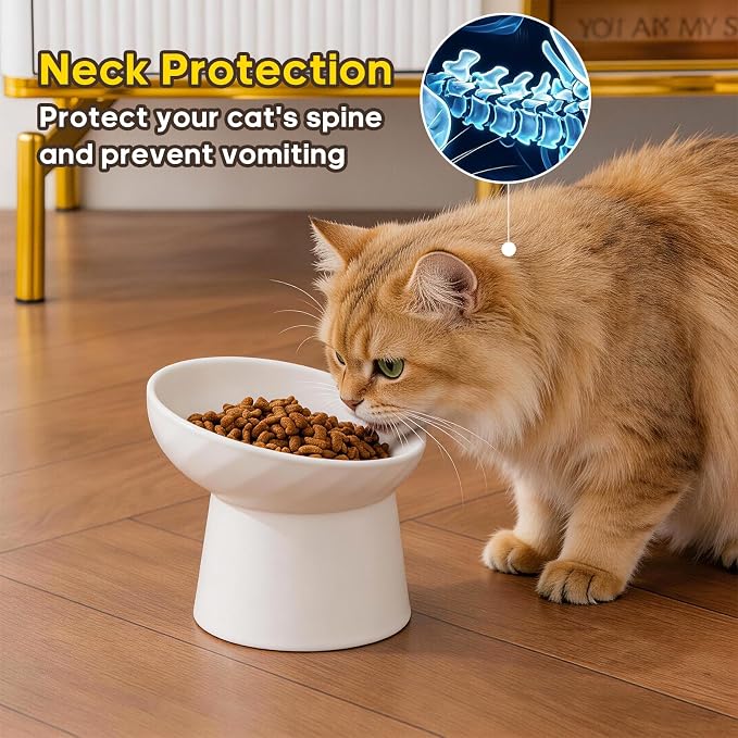 Ceramic Raised Cat Bowls - Elevated Tilted Cat Food and Water Bowls Set, Anti Vomiting and Protect Pets' Spines Pet Feeding Dish for Cats, Dishwasher Microwave Safe (2 x Bowl - White)