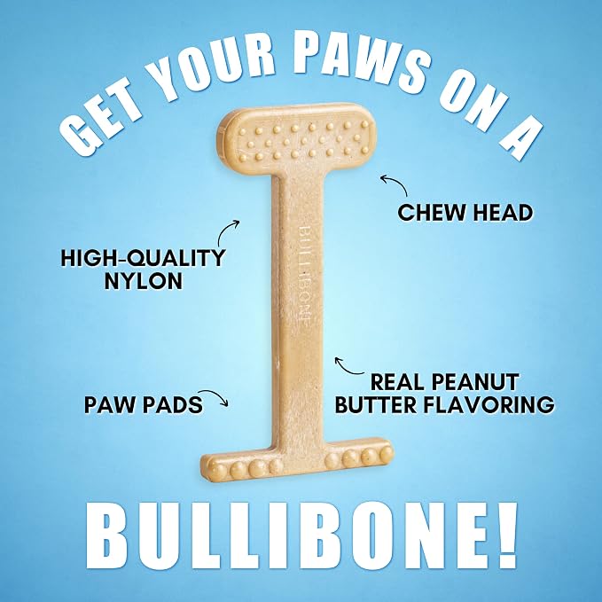 Bullibone Nylon Dog Chew Toy for Aggressive Chewers - Dental Hygiene Bone with Peanut Butter Flavor, Durable Tough Chew Toys for Large Dogs, Indestructible Dog Bone - Single