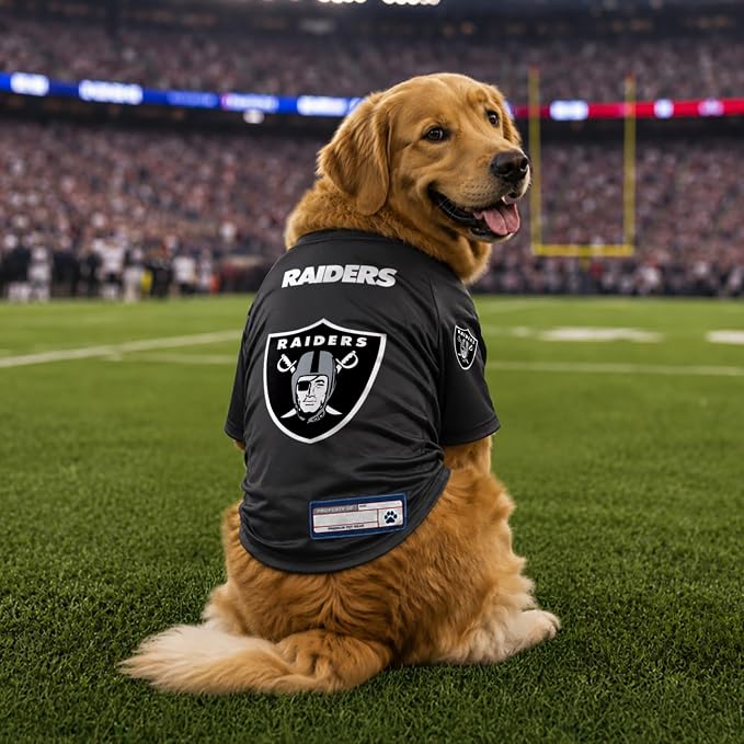 Littlearth NFL Las Vegas Raiders Stretch Pet Jersey, Team Color, X-Small