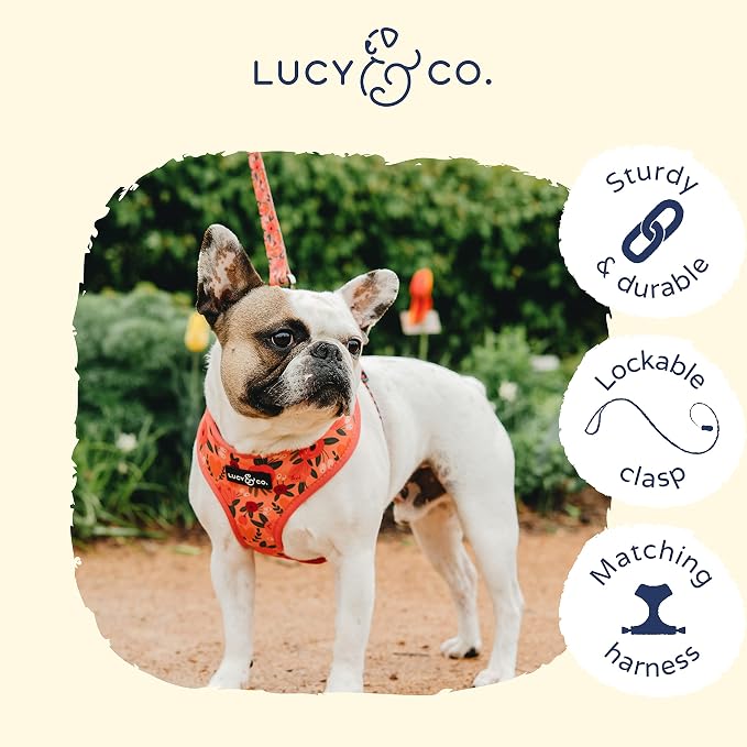 Lucy & Co. Posy Pink Dog Leash - 5-Foot Designer Dog Leash for Small, Medium or Big Dogs or Puppies Puppy - Pet Accessories & Supplies