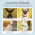 Lucky Love Dog - Adjustable Dog Collar with Easy Click Buckle for Large Ones, Durable, & Comfortable for Male & Female Dogs, Pet Collar for Puppies & Adult Dogs - Laguna, Large