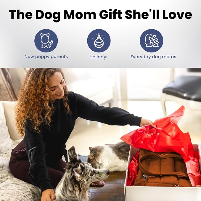 Rubyloo Puffer Dog Travel Bag for Dog Moms, Diaper Bag with Travel Bowls | 2 BPA-Free Collapsible Bowls, 2 Pet Food Containers, 9 Pockets, Everyday Puffer Bag Works With or Without Your Dog, Rust