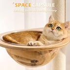 HITTITE Solid Wood Cat Tree Tower with Scratching Post, 61 Inches Tall Cat Towers with Capsule and Condo, Modern Cat Tower with Hammock and Removable Top Bed for Indoor Cats.White