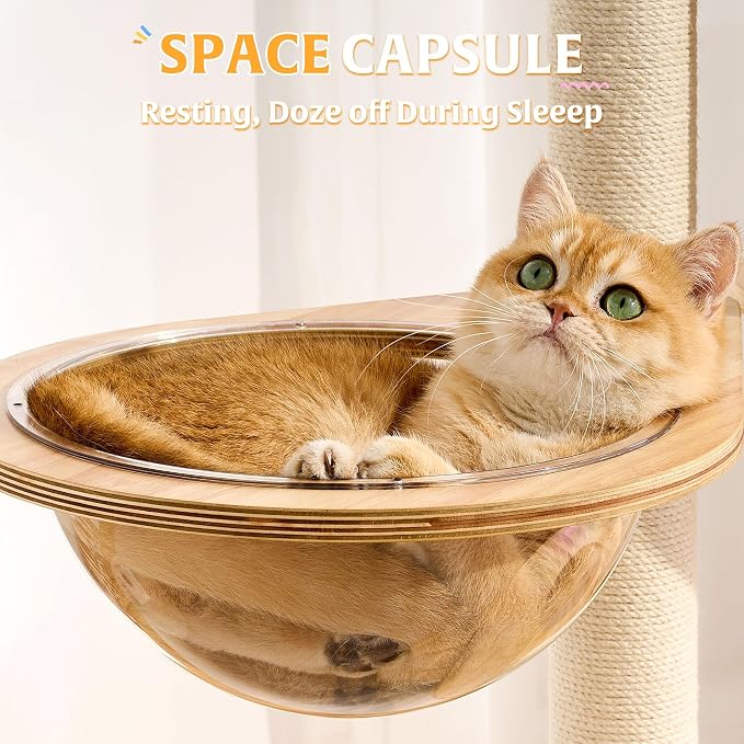 HITTITE Solid Wood Cat Tree Tower with Scratching Post, 61 Inches Tall Cat Towers with Capsule and Condo, Modern Cat Tower with Hammock and Removable Top Bed for Indoor Cats.White