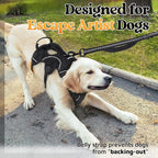 rabbitgoo Escape Proof Dog Harness for X-Large, No Pull with Lift Handle | No Escape, Full Soft Padded, Reflective Adjustable Vest, Leash Clip for Walking Hiking Training, Black, X-Large