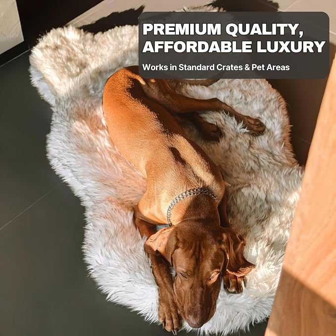 Faux Fur Orthopedic Dog Bed, Memory Foam, White w/Brown Tips 60"x35" | Plush Washable Dog Rug with Waterproof Machine Washable Cover, Calming for Anxious Senior Dogs, Relieves Joints