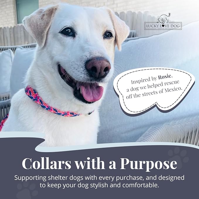 Lucky Love Dog - Adjustable Dog Collar with Easy Click Buckle for Medium, Durable, & Comfortable for Male & Female Dogs, Pet Collar for Puppies & Adult Dogs - Rosie, Medium