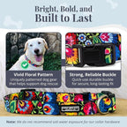 Lucky Love Dog - Adjustable Dog Collar with Easy Click Buckle for Small Dogs, Durable, & Comfortable for Male & Female Dogs, Pet Collar for Puppies & Adult Dogs - Blackbird, Small