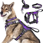 WINSEE Pet Harness Collar and Leash Set, All-in-one Reflective Dog Harness No Pull with Adjustable Buckles for Puppies, Small, Medium, Large, and Extra-Large Dogs (X-Large, Purple)