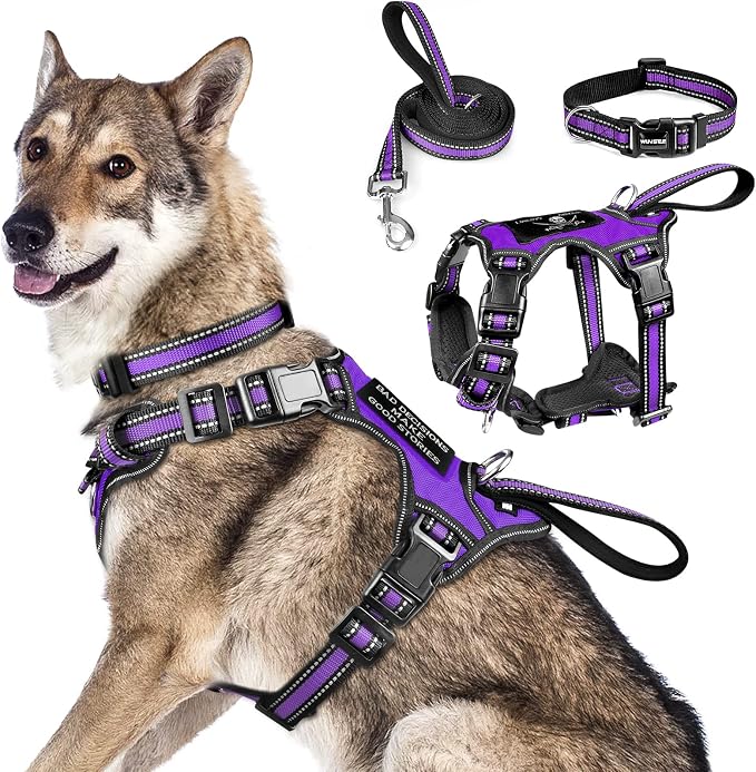 WINSEE Pet Harness Collar and Leash Set, All-in-one Reflective Dog Harness No Pull with Adjustable Buckles for Puppies, Small, Medium, Large, and Extra-Large Dogs (X-Large, Purple)