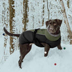 IECOii Extra Warm Dog Coat Reflective Adjustable Winter Jacket with Buckle Fleece Turtleneck for Cold Weather, Soft for Small Medium Extra Large Dogs, Army Green