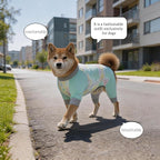 Dog Cooling Sun Protection Suit, Outdoor Fashion Onesie, UPF 50+ Lightweight Breathable Quick-Dry, Anti-Dirt & Anti-Shedding, Zipper Design for Easy Dressing Undressing (Cyan, XX-Large)