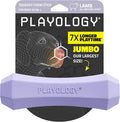 Playology Dog Toys | Squeaky Chew Stick for Large Dogs | Lamb Scented Jumbo Fetch Toy | Squeaky Dog Chew Toy