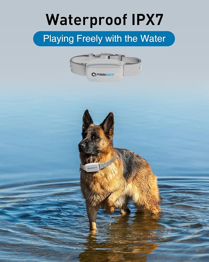 ABBIDOT Shock Collar for Dogs 3300 FT Dog Training Collar with Remote, 4 Training Modes IPX7 Waterproof Nihgt Light, Rechargeable E-Collar for Small Medium Large Dogs (15-120 lbs),Light Gray