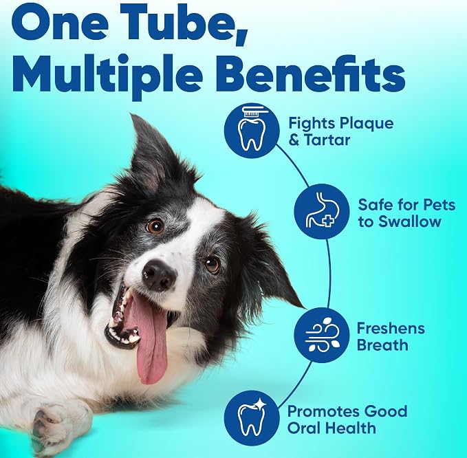 C.E.T. Enzymatic Toothpaste for Dogs and Cats, Beef, 2.5oz | Plaque and tartar control for fresh breath, pet dental care toothpaste, Dual enzyme system, beef flavored toothpaste