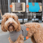 Suitical - The Original Dog Surgery Recovery Suit - Replace E-Collar & Cone - Spay, Neuter, Wounds, Prevent Licking - Medium - Neck to Tail 21.7–27.2in - Chest 27-37in - Weight 40-50lbs Sandstone Grey
