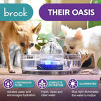 Brook Glass Cat Water Fountain 90oz – Dishwasher Safe Pet & Dog Fountain | Automatic 2.7L drinking water dispenser – quiet, easy to clean glass bowl, filters included – for indoor cats, kittens & dogs