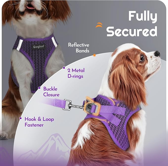 Eagloo Small Dog Harness and Leash Set, Step in Extra Small Puppy Pet Vest | Light, Soft, Breathable Air Mesh, Easy on and off with Hook & Loop, Reflective for Safe Walking, Purple, XXS