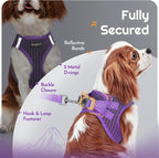 Eagloo Small Dog Harness and Leash Set, Step in Medium Small Puppy Pet Vest | Light, Soft, Breathable Air Mesh, Easy on and off with Hook & Loop, Reflective for Safe Walking, Purple, M