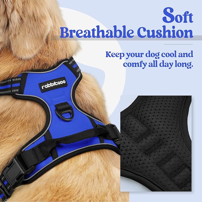 rabbitgoo Dog Harness, No Pull for Small Dogs with 2 Leash Clips, Pet Vest | No Choke with Handle, Adjustable Soft Padded, Reflective, Easy Control for Walking, Dazzling Blue, Small