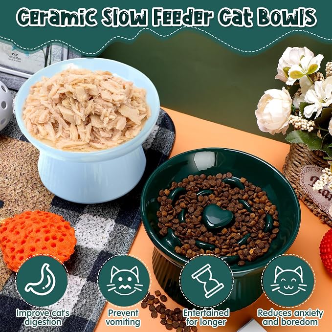 Tioncy 2 Pcs Ceramic Elevated Slow Feeder Cat Bowl, Raised Cat Slow Feeder Bowl, Anti Vomiting for Dry and Wet Food, No Spill High Edge Easy Clean Dishwasher Safe (Dark Green,Blue)
